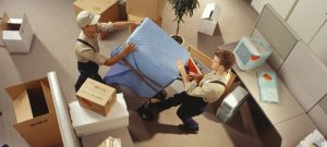 Professional Relocation Services