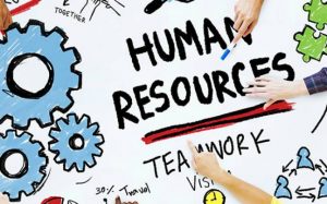 human-resource