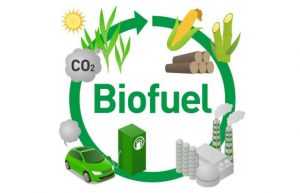 Biofuels