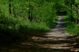 Chikanishing Trail