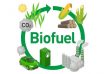 Biofuels