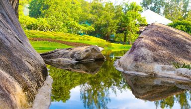 Landscape of the York Region