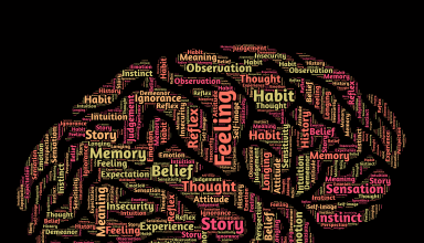 branches of psychology