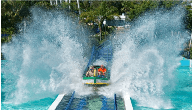 4Marine Parks for Kids