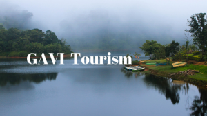 GAVI Tourism