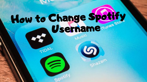 Solved The Way To Change Username The Spotify Community