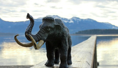 ivory objects