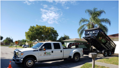 Dumpster Rental Services