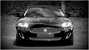 LED Headlight