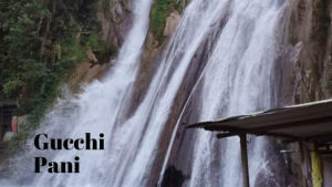 Mystery of Gucchi Pani