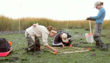 Kids Should be Gardening