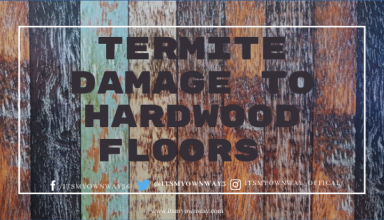 Termite Damage to Hardwood Floors