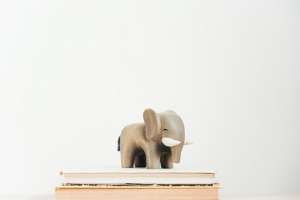 Wooden Toy