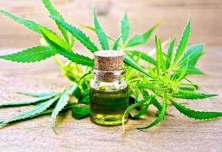 cbd oil