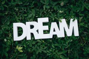 Life of Your Dreams