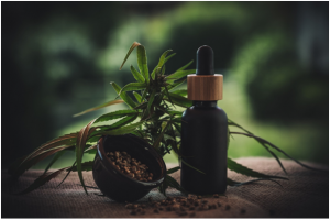 CBD Oils For Dogs