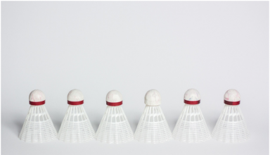Shuttlecock