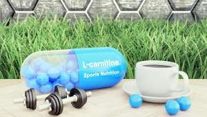 fat burner supplements