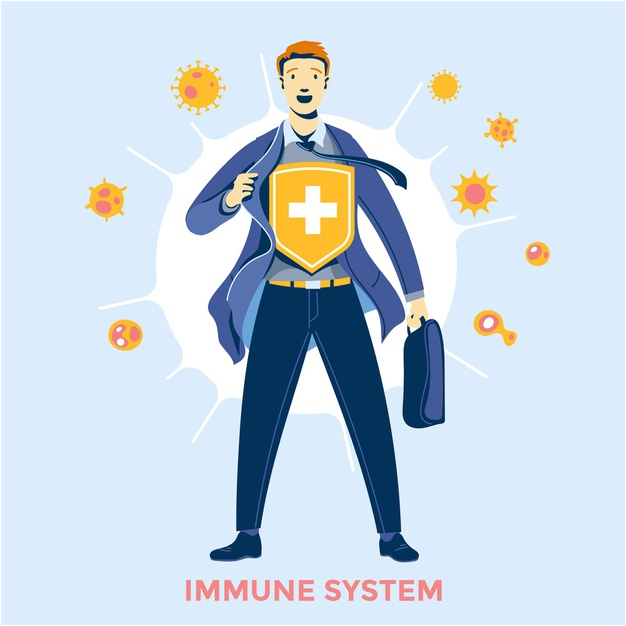 immune system