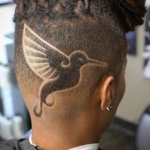 Bird Hair Design