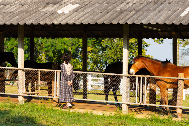 Raising a Horse