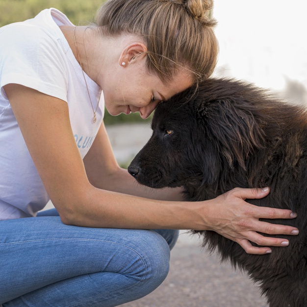 dog shelter