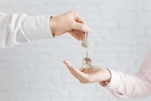 Real Estate Agent
