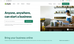 Shopify website