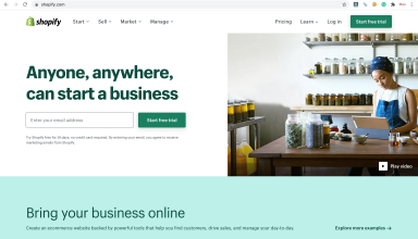 Shopify website
