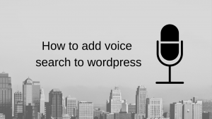 voice search