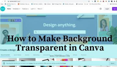 background transparent in Canva