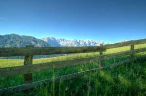 Wooden Fence