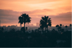 los angeles