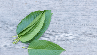 Kratom for pain relief