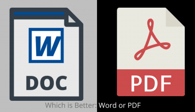 Word or Pdf