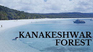 Kanakeshwar Forest