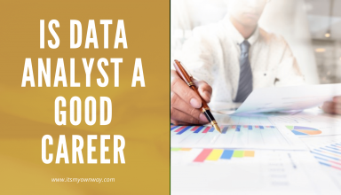 Data Analyst