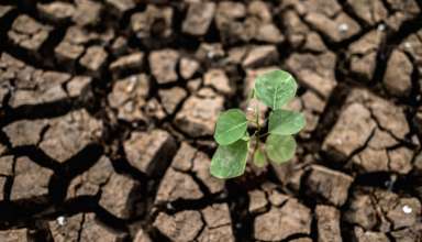 Dry Land Agriculture