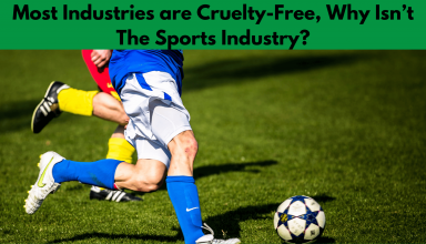 Most Industries are Cruelty-Free, Why Isn’t The Sports Industry?