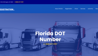 Florida dot number