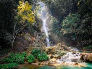 Laos 