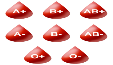 Blood Type Calculator