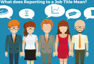 What does Reporting job title mean?
