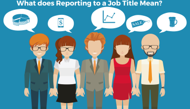 What does Reporting job title mean?
