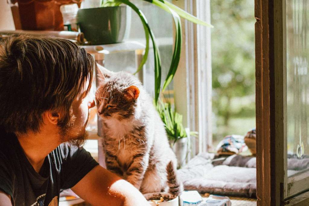 A man play with her pet.