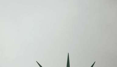 Top 7 Tourist attractions in USA