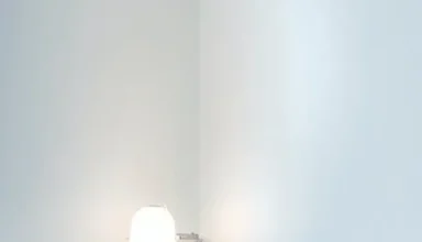 pexels-photo-2528118