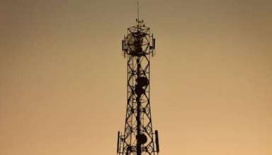 pexels-photo-13021712