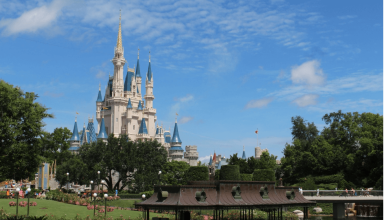 Disney Vacation