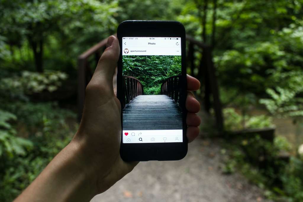 Women hold phone to check instagram reels